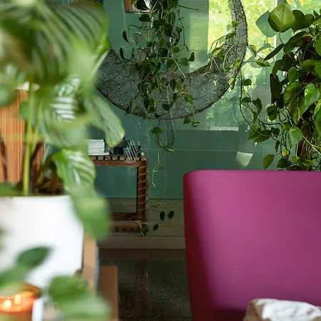 Nyaraló Alma Vista *