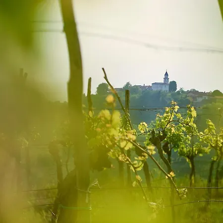 Сasa de vacaciones Alma Vista Dobrovo