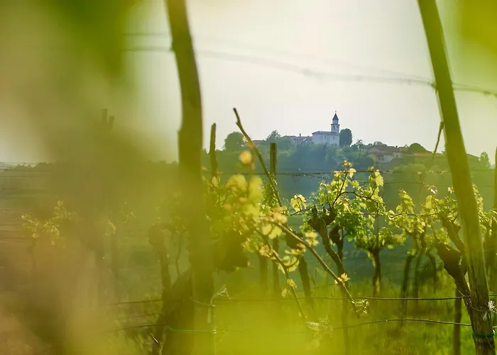 別荘 Alma Vista ドブロボ